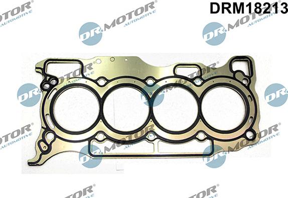 Lizarte DRM18213 - Guarnizione, Testata autozon.pro