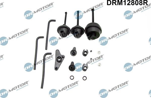 Lizarte DRM12808R - Kit riparazione, modulo collettore aspirazione autozon.pro