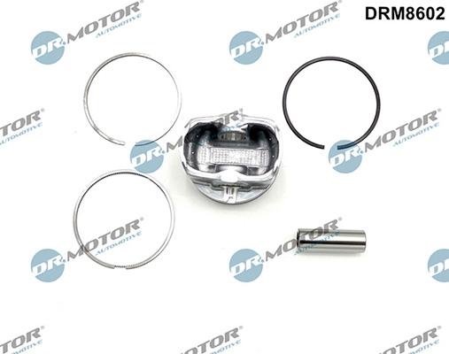 Lizarte DRM8602 - Pistone autozon.pro