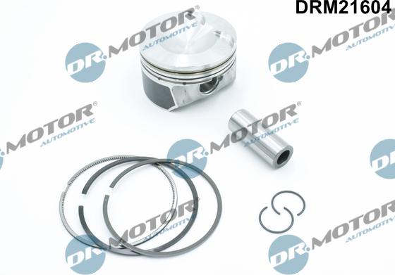 Lizarte DRM21604 - Pistone autozon.pro