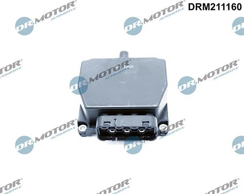 Lizarte DRM211160 - Convertitore pressione, Collettore aspirazione autozon.pro