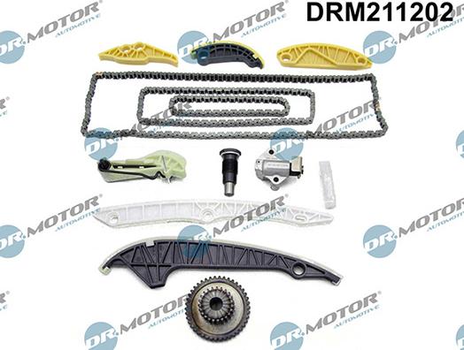 Lizarte DRM211202 - Kit catena distribuzione autozon.pro