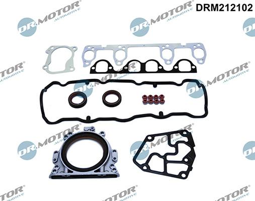 Lizarte DRM212102 - Kit completo guarnizioni, Motore autozon.pro