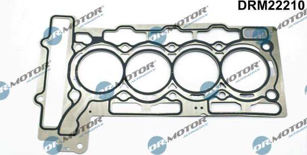 Lizarte DRM22210 - Guarnizione, Testata autozon.pro