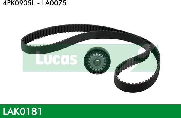 LUCAS LAK0181 - Kit Cinghie Poly-V autozon.pro