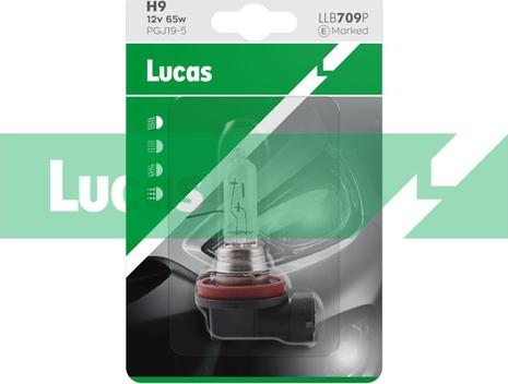 LUCAS LLB709P - Lampadina, Faro di profondità autozon.pro