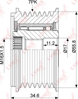 LYNXauto PA-1061 - Puleggia cinghia, Alternatore autozon.pro