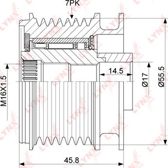 LYNXauto PA-1113 - Puleggia cinghia, Alternatore autozon.pro