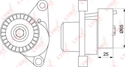 LYNXauto PT-3178 - Tendicinghia, Cinghia Poly-V autozon.pro