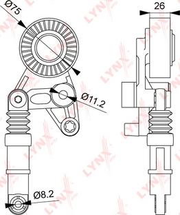 LYNXauto PT-3226 - Tendicinghia, Cinghia Poly-V autozon.pro