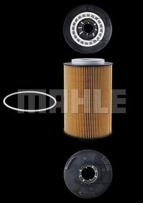 Magneti Marelli 154072350182 - Filtro olio autozon.pro