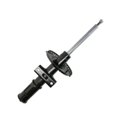 Magnum Technology AGW096 - Ammortizzatore autozon.pro