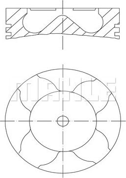 MAHLE 229 06 10 - Pistone autozon.pro