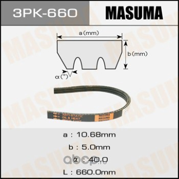 MASUMA 6PK1795 - Cinghia Poly-V autozon.pro