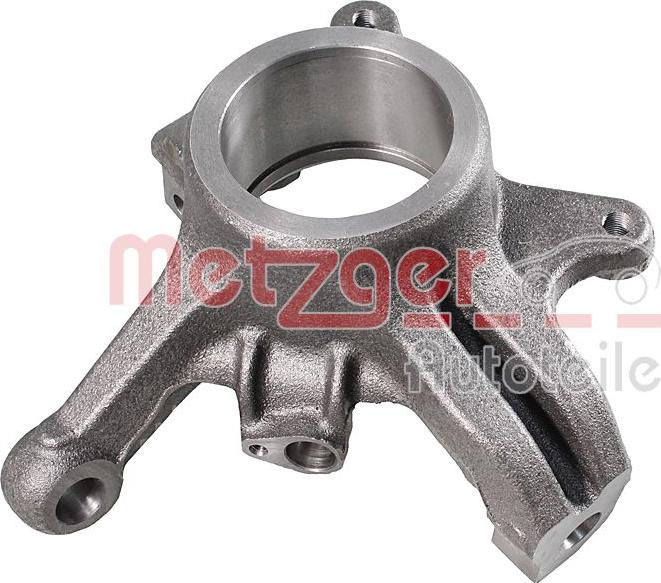 Metzger 58150801 - Fuso a snodo, Sospensione ruota autozon.pro