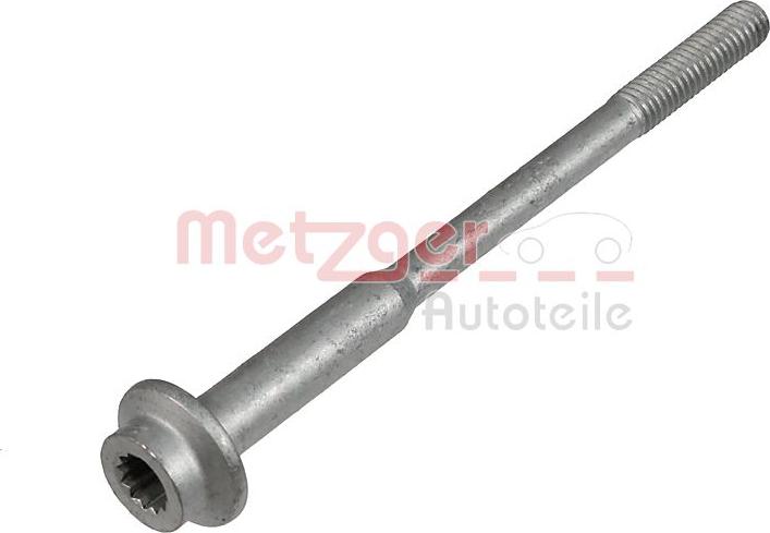 Metzger 0873031 - Bullone, Supporto iniettore autozon.pro