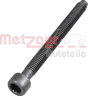 Metzger 0872003S - Bullone, Supporto iniettore autozon.pro