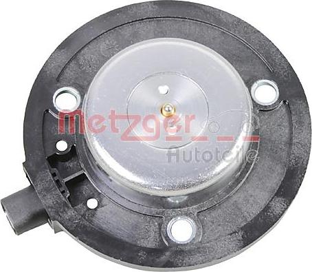 Metzger 2411035 - Magnete centrale, Regolazione albero a camme autozon.pro