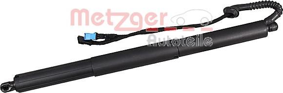 Metzger 2115021 - Motore elettrico, Cofano posteriore autozon.pro