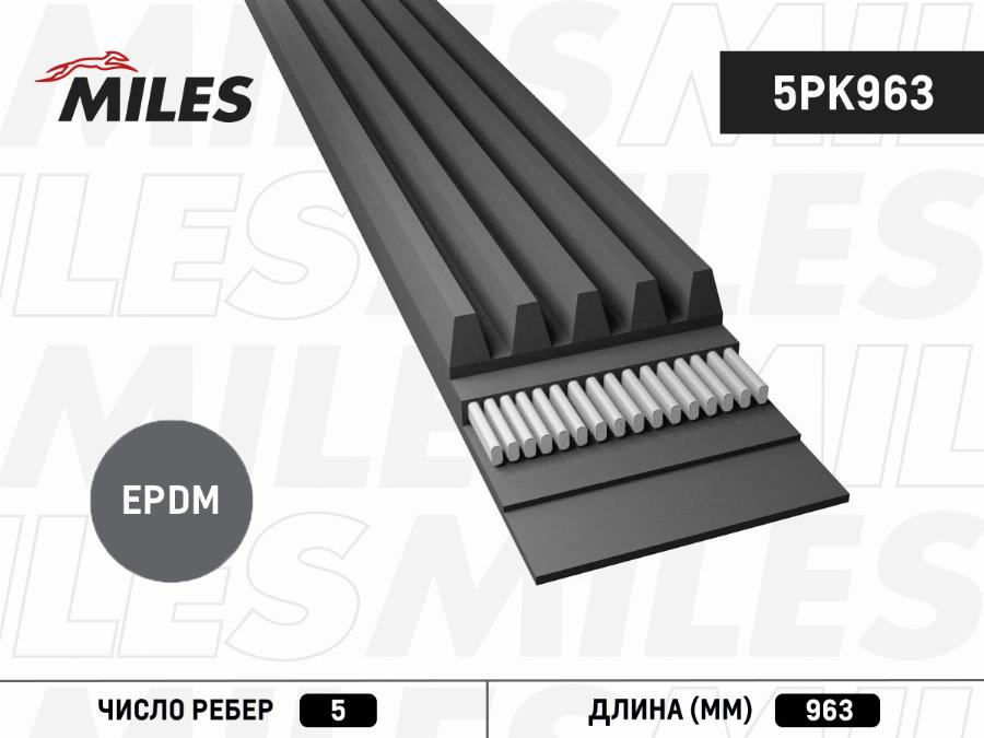 Miles 5PK963 - Cinghia Poly-V autozon.pro