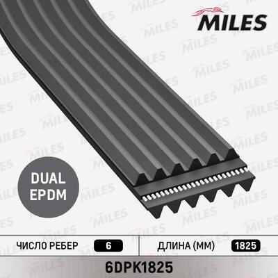 Miles 6DPK1825 - Cinghia Poly-V autozon.pro