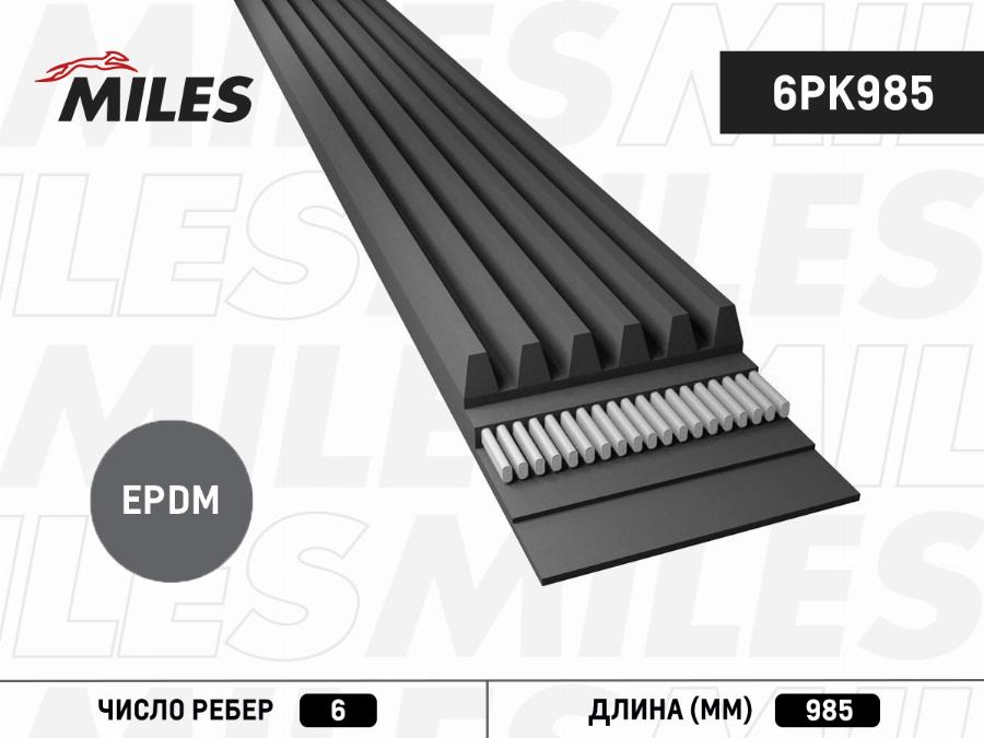 Miles 6PK985 - Cinghia Poly-V autozon.pro