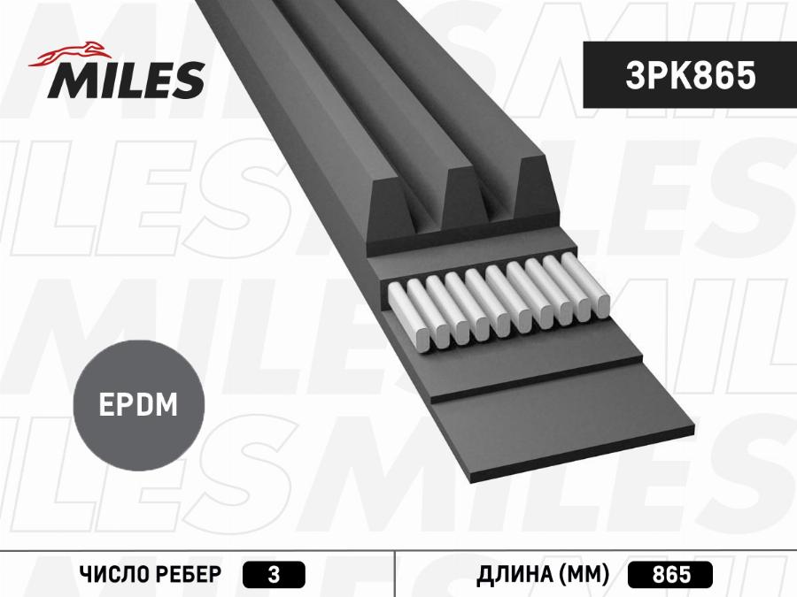 Miles 3PK865 - Cinghia Poly-V autozon.pro