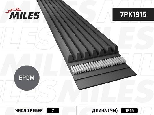 Miles 7PK1915 - Cinghia Poly-V autozon.pro