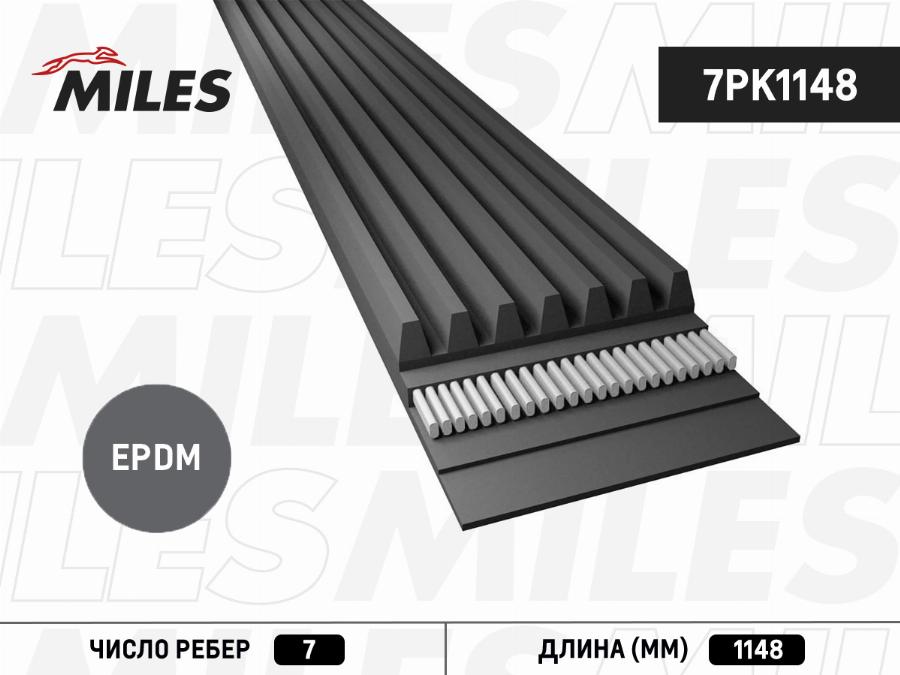 Miles 7PK1148 - Cinghia Poly-V autozon.pro