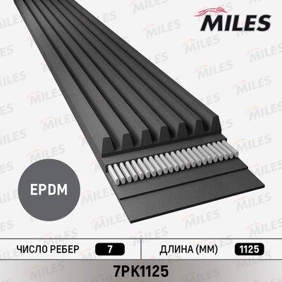 Miles 7PK1125 - Cinghia Poly-V autozon.pro