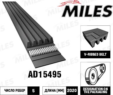 Miles AD15495 - Cinghia Poly-V autozon.pro