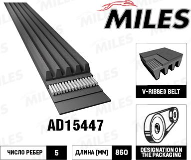 Miles AD15447 - Cinghia Poly-V autozon.pro