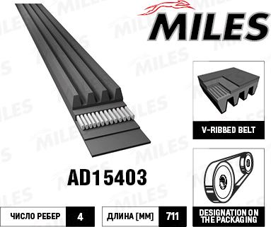 Miles AD15403 - Cinghia Poly-V autozon.pro