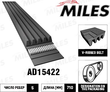 Miles AD15422 - Cinghia Poly-V autozon.pro