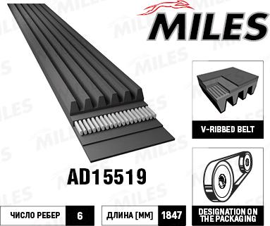 Miles AD15519 - Cinghia Poly-V autozon.pro