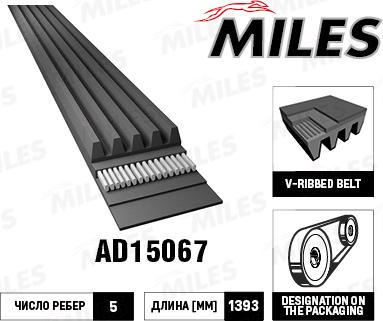 Miles AD15067 - Cinghia Poly-V autozon.pro