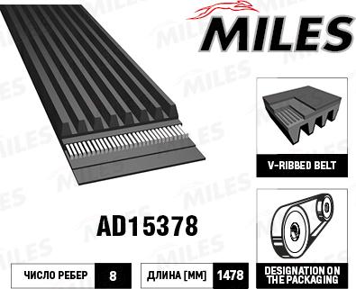 Miles AD15378 - Cinghia Poly-V autozon.pro