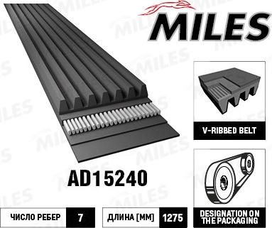 Miles AD15240 - Cinghia Poly-V autozon.pro