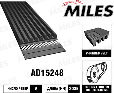 Miles AD15248 - Cinghia Poly-V autozon.pro