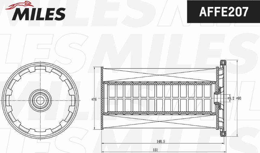 Miles AFFE207 - Filtro carburante autozon.pro