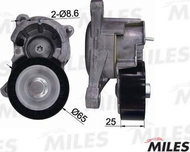 Miles AG00088 - Tendicinghia, Cinghia Poly-V autozon.pro