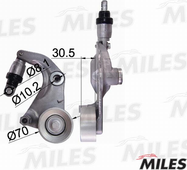 Miles AG00031 - Tendicinghia, Cinghia Poly-V autozon.pro