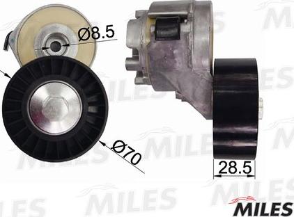 Miles AG00032 - Tendicinghia, Cinghia Poly-V autozon.pro