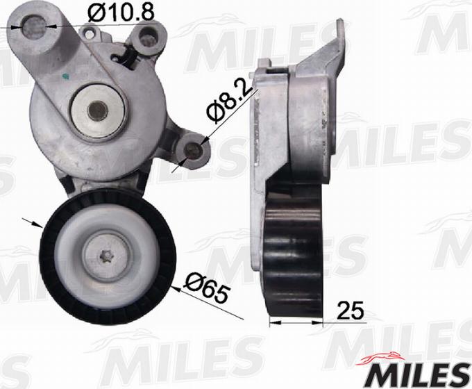 Miles AG00073 - Tendicinghia, Cinghia Poly-V autozon.pro