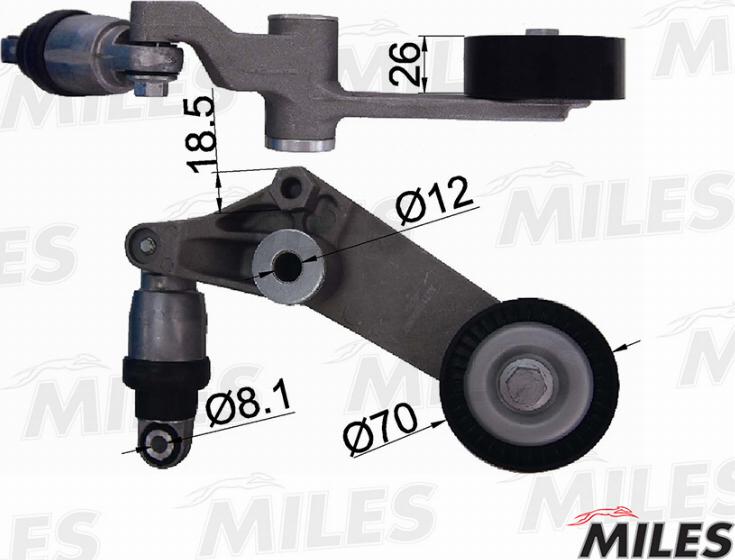 Miles AG00310 - Tendicinghia, Cinghia Poly-V autozon.pro