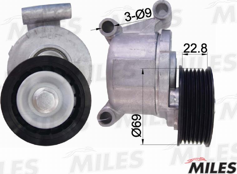 Miles AG00292 - Tendicinghia, Cinghia Poly-V autozon.pro