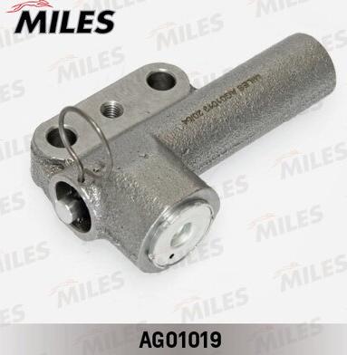 Miles AG01019 - Smorzatore vibrazioni, Cinghia dentata autozon.pro