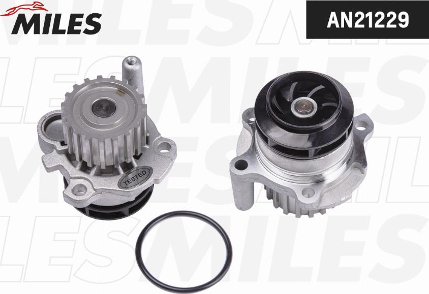 Miles AN21229 - Pompa acqua autozon.pro