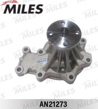 Miles AN21273 - Pompa acqua autozon.pro