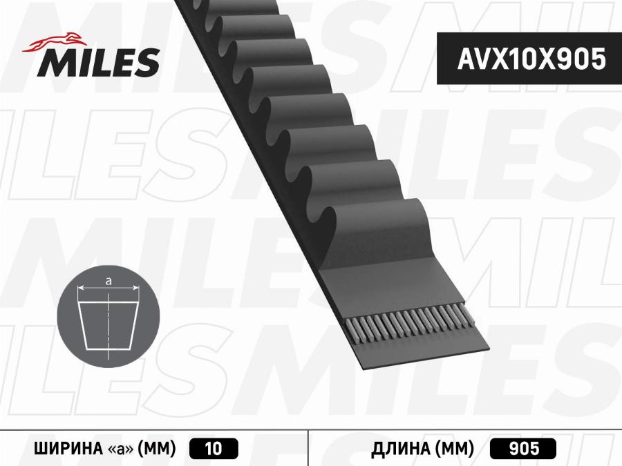 Miles AVX10X905 - Cinghia trapezoidale autozon.pro